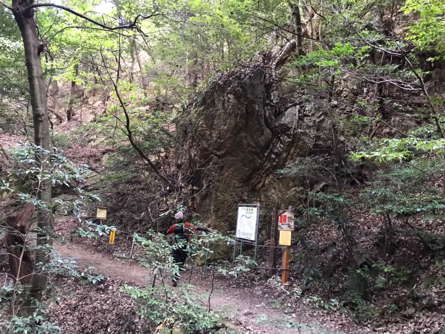 金華山 めい想の小径の登山道